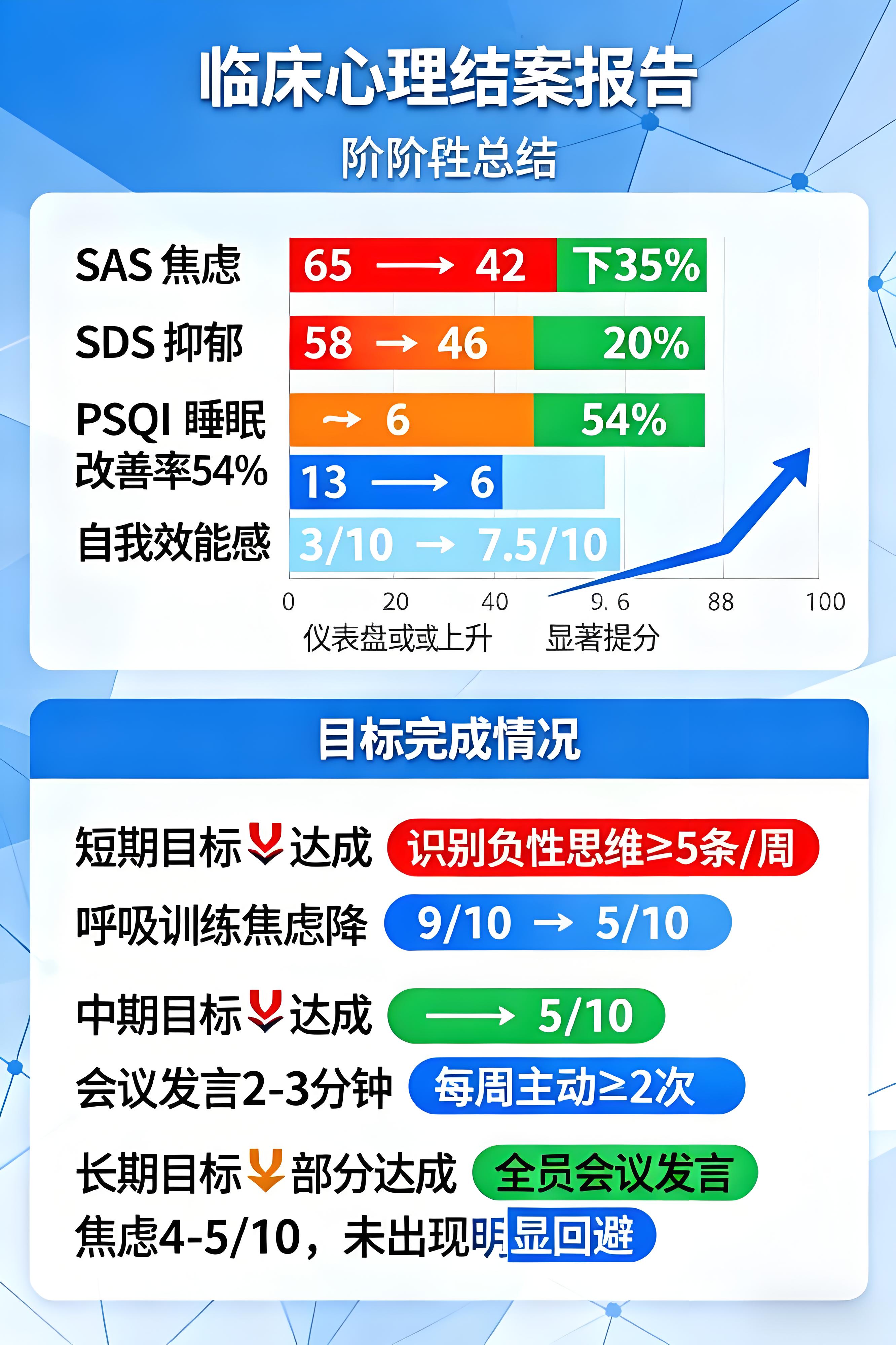 结案报告