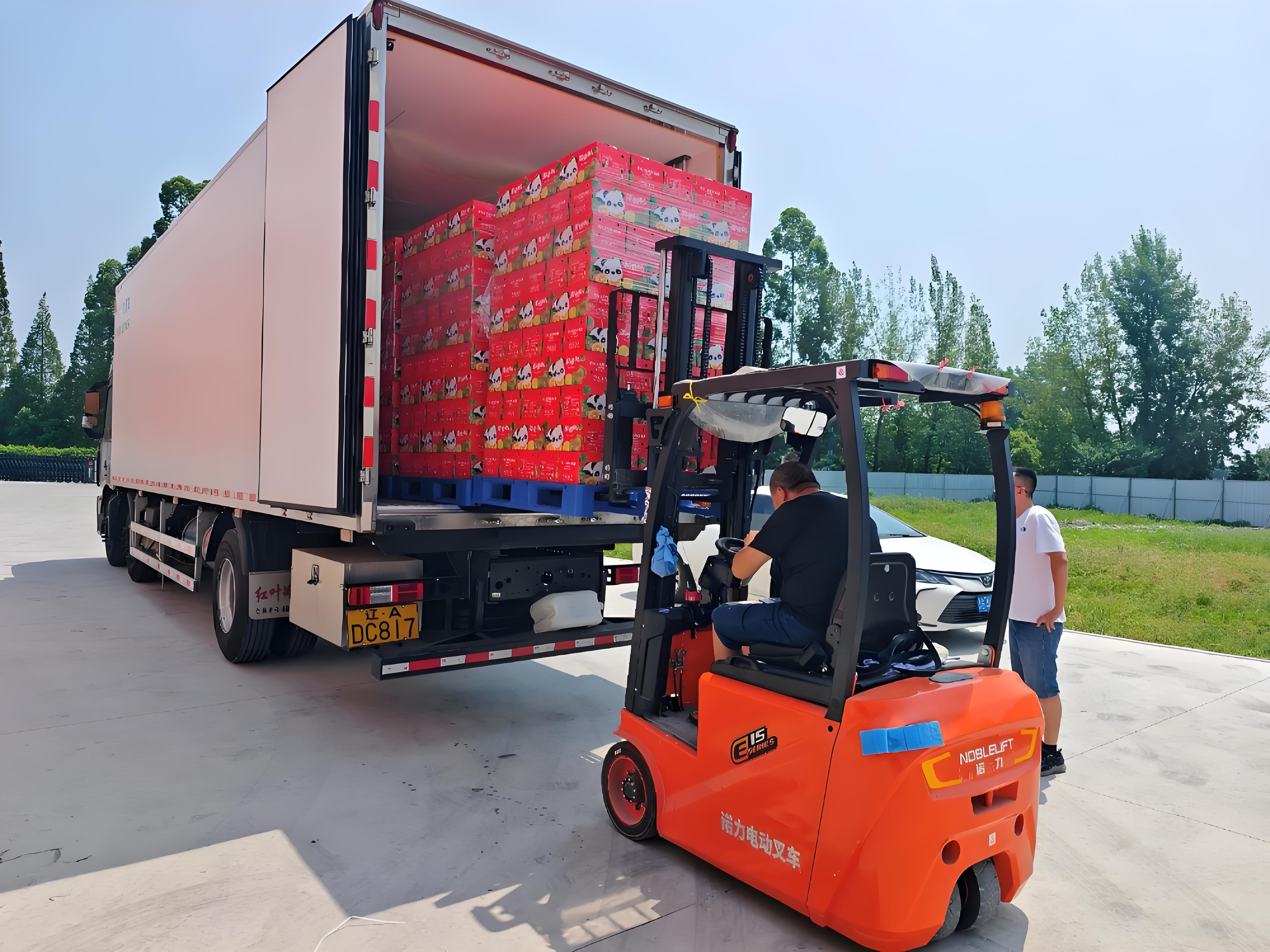 鲜葡萄冷链项目