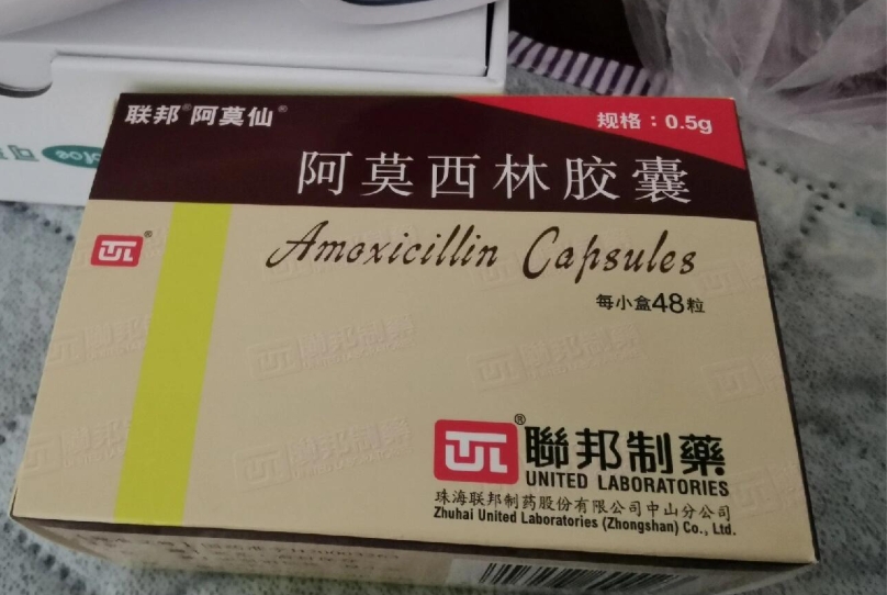 阿莫西林工艺优化项目